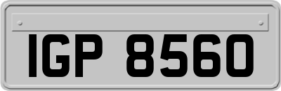 IGP8560