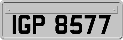 IGP8577