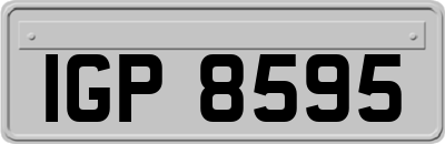 IGP8595