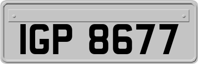 IGP8677
