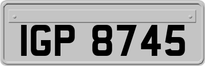 IGP8745