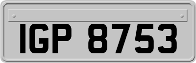 IGP8753