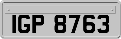 IGP8763