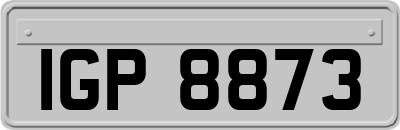 IGP8873