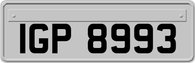 IGP8993