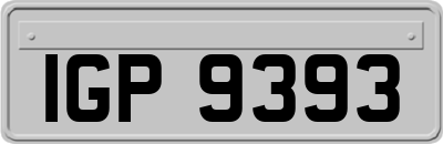 IGP9393