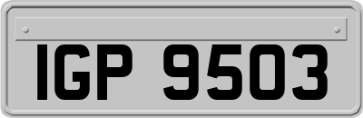 IGP9503