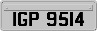 IGP9514