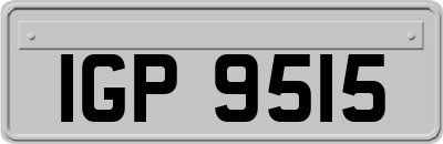 IGP9515