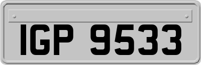 IGP9533