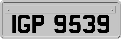 IGP9539