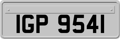 IGP9541
