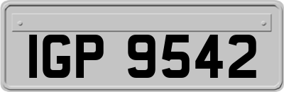 IGP9542