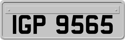 IGP9565