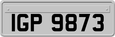 IGP9873