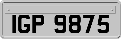 IGP9875