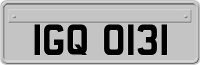 IGQ0131