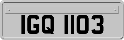 IGQ1103