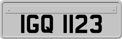 IGQ1123