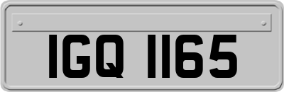 IGQ1165