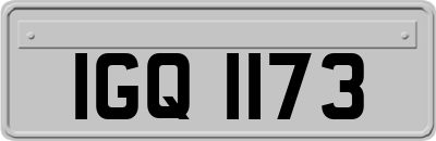 IGQ1173