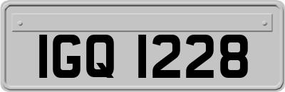 IGQ1228