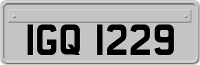 IGQ1229