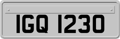 IGQ1230