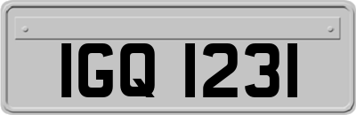 IGQ1231