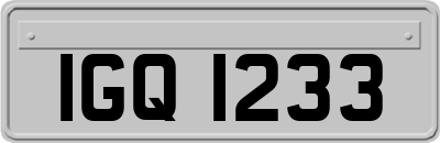 IGQ1233