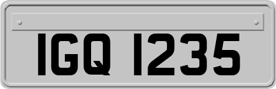 IGQ1235