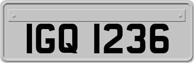 IGQ1236