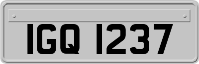 IGQ1237