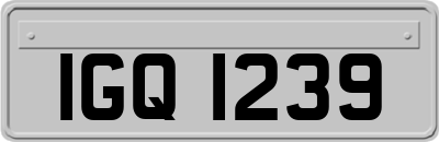 IGQ1239