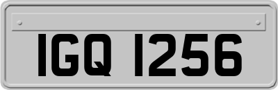 IGQ1256