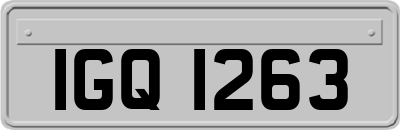 IGQ1263