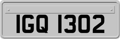 IGQ1302