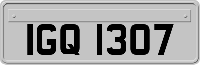 IGQ1307