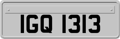 IGQ1313