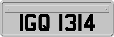 IGQ1314