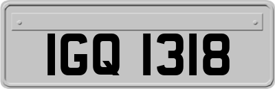 IGQ1318
