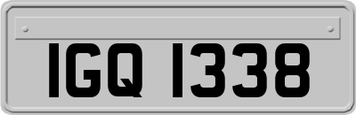 IGQ1338