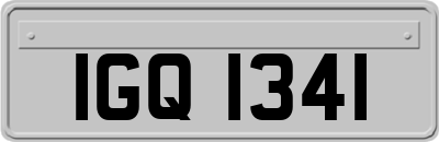 IGQ1341