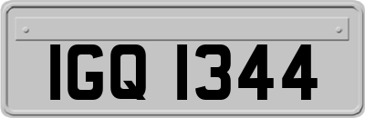 IGQ1344
