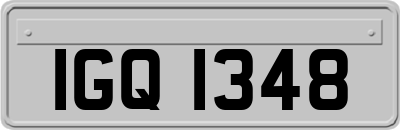 IGQ1348