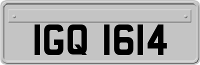 IGQ1614
