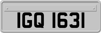 IGQ1631