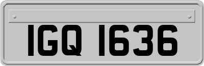 IGQ1636