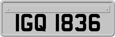 IGQ1836