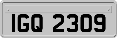 IGQ2309